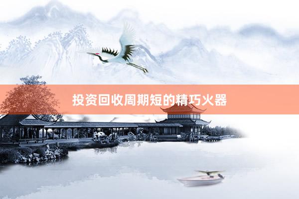 投资回收周期短的精巧火器